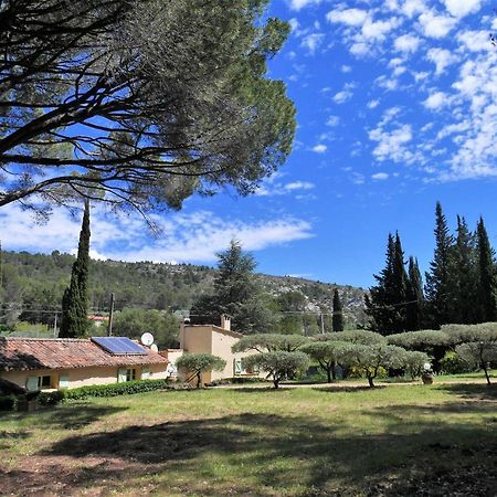 Le Mas Des Oliviers Salernes Exterior foto